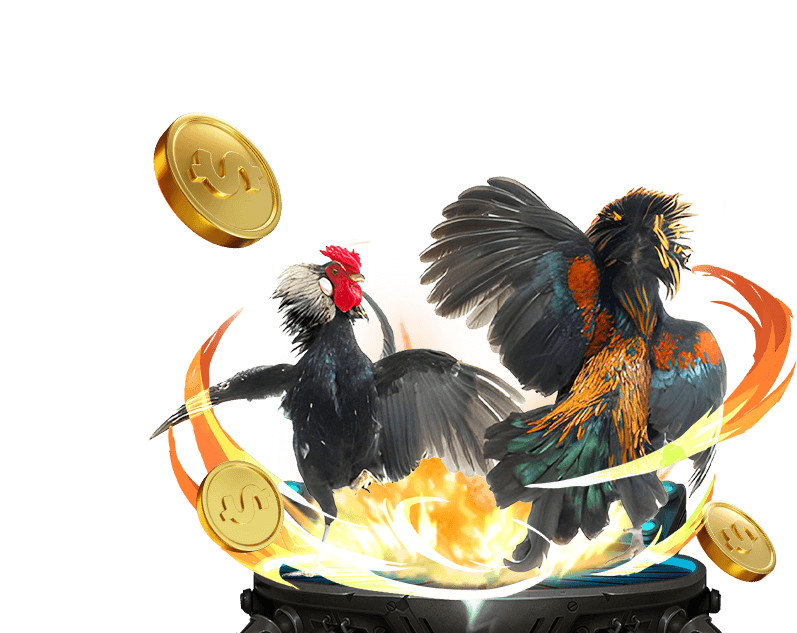 Hình ảnh gà chọi với cựa sắt đang giao chiến, thể hiện sự quyết liệt trong trận đá gà cựa sắt tại Vin 777.