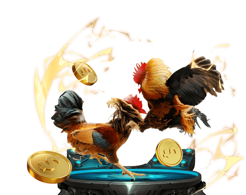 Hình ảnh một chú gà chọi với cựa dao sắc bén, sẵn sàng cho trận đấu đá gà cựa dao tại Vin 777.