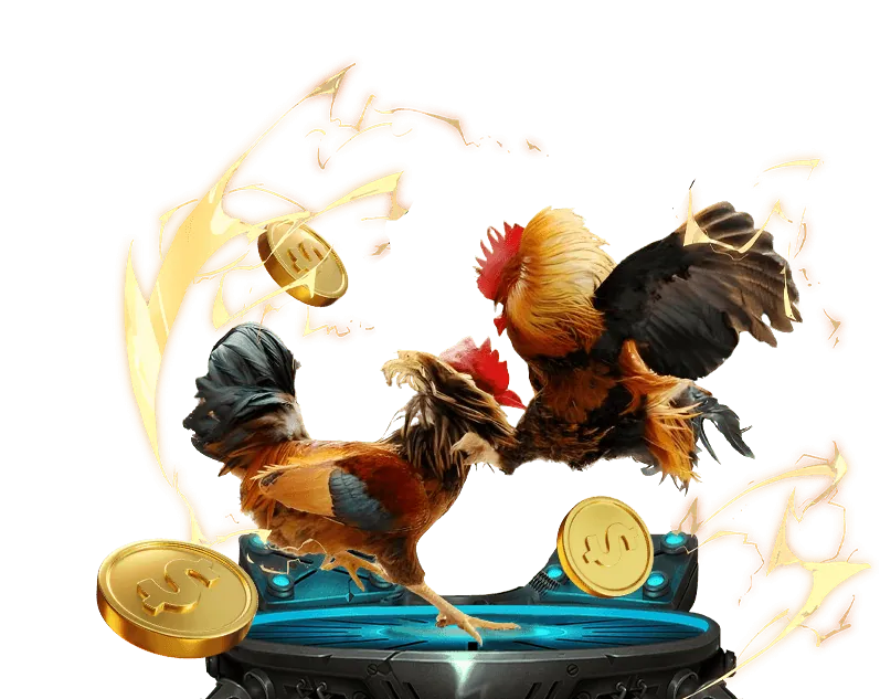 Hình ảnh một chú gà chọi với cựa dao sắc bén, sẵn sàng cho trận đấu đá gà cựa dao tại Vin 777.